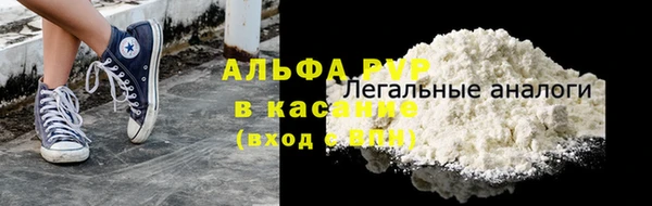 прущие грибы Абдулино