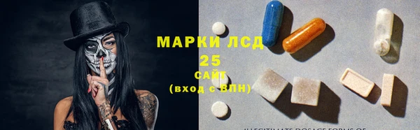 прущие грибы Абдулино