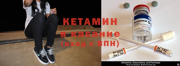 прущие грибы Абдулино