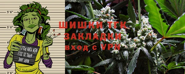 прущие грибы Абдулино