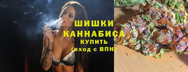 прущие грибы Абдулино